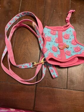Whisker City cat/dog harness cat centric size-kitten with 6 ft leash